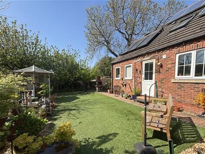 Picture 23